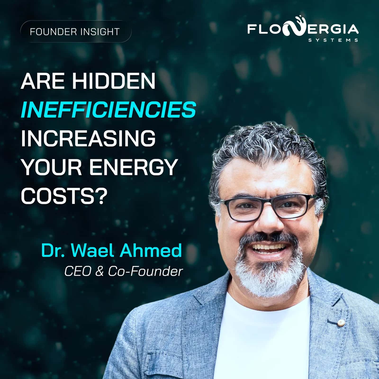 FloNergia Systems Inc. — Founder Insight Series