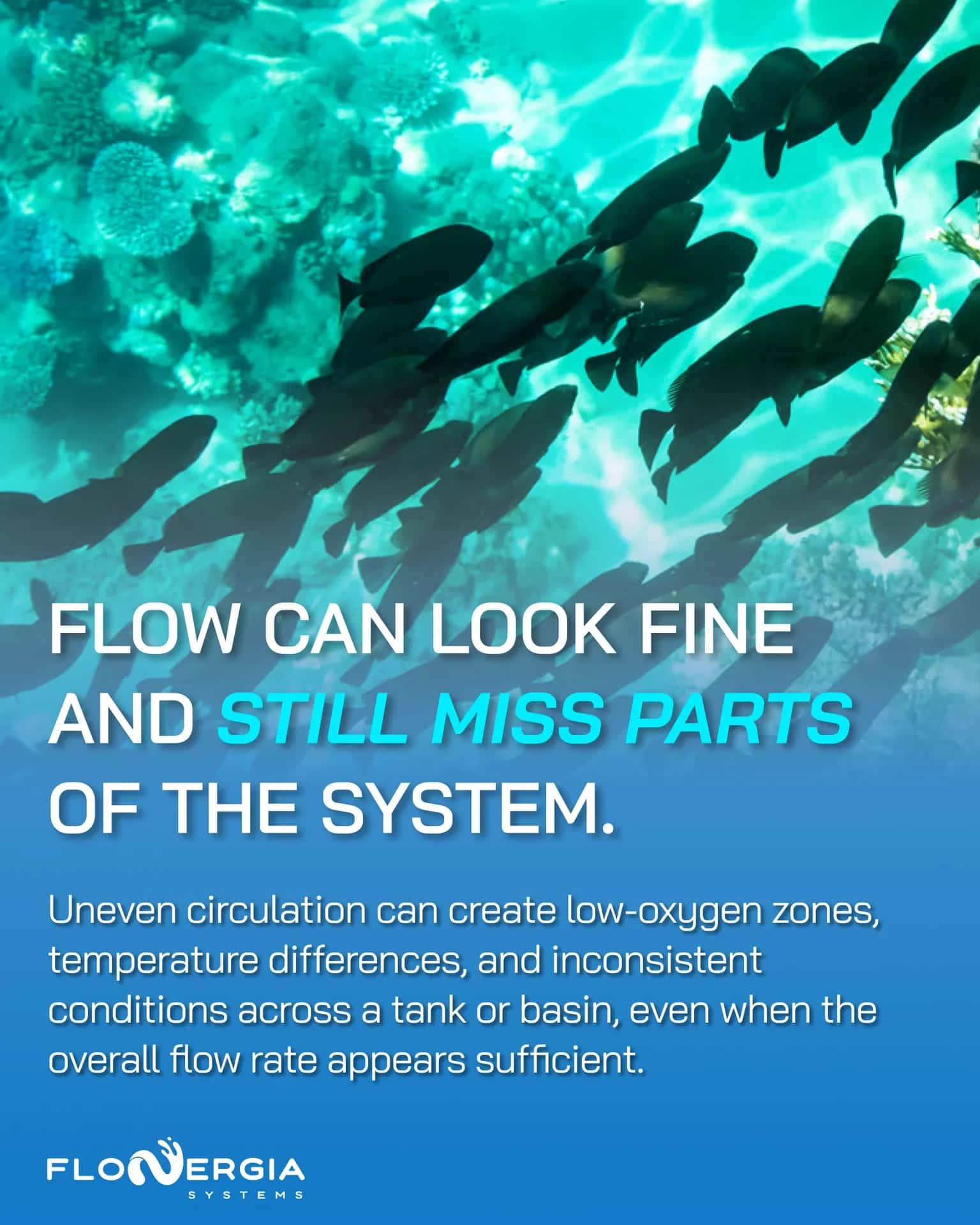 FloNergia Systems Inc. — Flow Can Look Fine