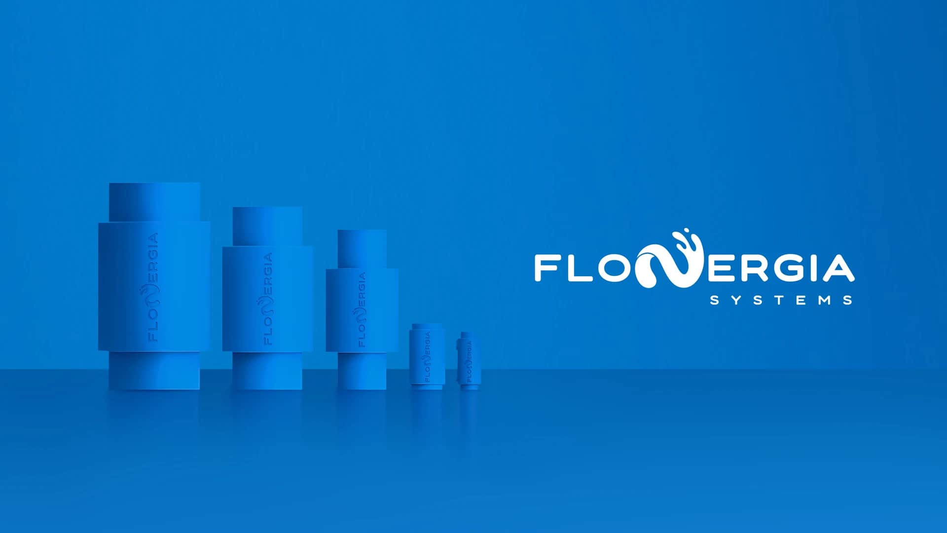 FloNergia Systems Inc. — selected work cover